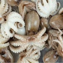 쭈꾸미 주꾸미 냉동쭈꾸미 15미 220g, FW 냉동쭈꾸미(15미) 220g