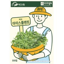 (허브씨앗종자) 기능성친환경야채 아이스플랜트(500립)