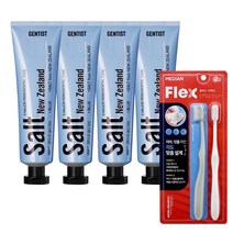 젠티스트 솔티 치약 100g 4입 + 칫솔 2입 증정