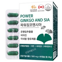 파워 징코앤시아 60캡슐/은행잎추출물 혈행개선 아연 비타민DB, 36g, 1통