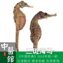 한약 해마 건조 제품 붓기 한방 담금주 건강식품, 10g (삼점해마 암수 한쌍 총 4마리)