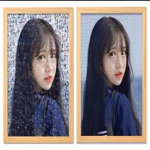 1:1 맞춤형 주문제작 퍼즐 모자이크 이중 그림 퍼즐 치매예방, 단일사진 1000피스