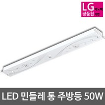 비스코엘이디 LED 민들레 LG칩 통 주방등 50W, 주광색