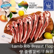 Halal Lamb Rib Breast Flap / Lamb Chest Long Cut for Grilling 양고기 쪽갈비 양갈비 플랩갈비 양고기 쪽갈비 (할랄 1Kg), 1개, 1Kg