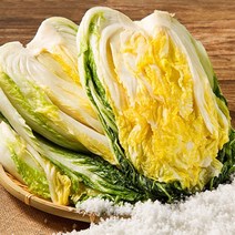 예닮골 해남 절임배추 20kg 정직한절임배추 생산자직송 김장 김치, 02월16일 발송