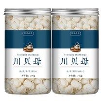 야생천패모 특급 사천성 천패모 100g, 1통
