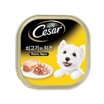 시저 시저캔 쇠고기와치즈 100g x24개 (1박스) 애견간식 강아지간식, 24개