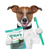 V 애견 오리지날 1P 오럴 케어 덴탈껌 20개 강아지 스케일링 치석 이빨, 1P 오리지널 20개