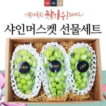 명절 추석 프리미엄 과일 선물 세트 샤인머스켓 3-4수 과일바구니, 샤인머스켓 선물세트+보자기랜덤