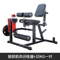 가정용 레그익스텐션 실내 프레스 듀얼 레그컬 홈트레이닝 홈짐, 레그익스텐션 + 10KG 플레이트