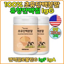 100% 초유단백분말 필수구성성분 IGF 30대 40대 50대WPI단백질 초유분말 분리유청단백질 50대 60대 70대 노인 프로틴 고단백프로틴 유청단백질분말 단백질영양제