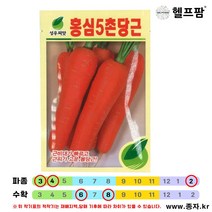 헬프팜 홍심5촌당근 5g 당근씨 종자 씨앗 성우종묘