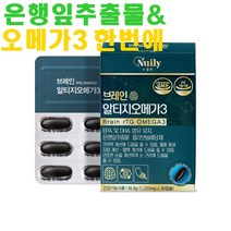 뉴일리 징코알티지오메가3 1박스(30캡슐) 은행잎추출물 알티지오메가3, 30캡슐x1박스