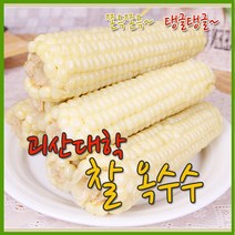 수확후바로삶은 괴산 대학찰옥수수 18개(3개씩포장)
