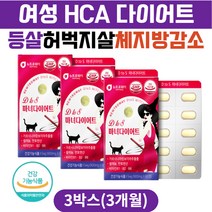 여성 등살 허벅지안쪽살 체지방 감소 HCA 다이어트 가르시니아 체지방컷팅제 복부 상체살 내장지방 허벅지살 뱃살빼는법 중년 남자 30대 40대 50대 60대 술배 윗배 복부지방