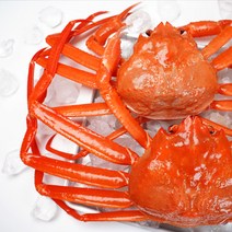 박달홍게 수율보장 울진 영덕 산지직송 붉은대게, [수율보장] 박달홍게, (대) 3마리, 생물