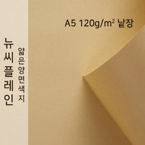뉴씨플레인 종이문화 얇은 양면색지 120g A5 낱장 1매 No.22 연갈색, 1장