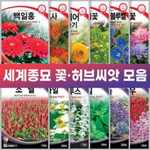 세계종묘 꽃 허브 씨앗 일년생 다년생 노지월동 야생화, 카모마일 500립