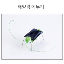 태양광 메뚜기 만들기 실험 충전 조립 키트 어린이과학 과학 실험기구 초등과학실험 과학실험교구 실험키트