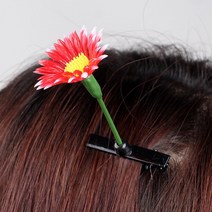 독특한 내추럴 머리핀 감성악세사리 악세사리쇼핑몰