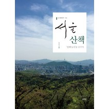 서울산책:산책 도시를 꿈꾸며, 진인진, 홍성태 저