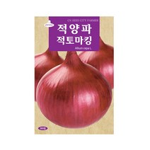 (CN) 적토마양파 씨앗 (300립)