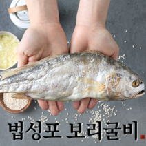에스와이 보리굴비, 1.고급선물용 찐보리굴비 5미