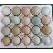(실속구성)B품 게르마늄청란 난각번호1번 방사유정란 무항생제 40구 이노바이오팜, 청란 B품 40구, 920