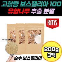 고함량 보스웰리아 100 유향나무 추출 고농축 분말 퀘르세틴 셀레늄 테르펜 보스웰릭산 KBA AKBA 유향나무 프랑킨센스 순수 무첨가 파우더 테니스 골프 엘보 우 무릎 관절 영양제