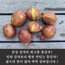 햇살조은 국내산 카스테라 햇 홍감자, 3.특사이즈, 10kg