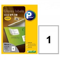 (ESGEL)100매 광택라벨 V8110 1칸 프린텍(ISRAEL), 상세페이지 참조