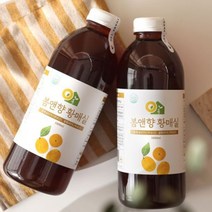 3년숙성 하동 황매실청 1000ml x 2병 /매실원액/황매실/농가배송