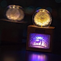 아트박스/라이트피플 LED무드등 민들레 수유등 취침등 인테리어소품, 엄마와 아이