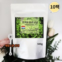 네덜란드 프락토올리고당 분말 신 프리바이오틱스 유산균분양 갈락토올리고당 이눌린 500g10팩, 상세페이지 참조, 상세페이지 참조