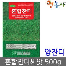 혼합 잔디 씨앗 500g, 혼합잔디500g, 1개