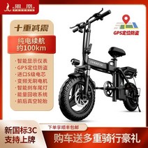 자전거 전기 장식 풀 서스펜션 전기 방수 단일 속도 전기 성인 야외 bicicleta plegable 사이클링, 스타일 15