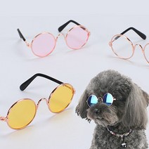 제이스 패션템 강아지 고양이 선글라스 도글라스 냥글라스, 7. 골드카키