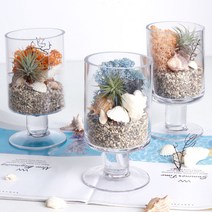 공기정화 천연 가습 DIY 테라리움 틸란드시아 이오난사 스칸디아모스, 씨클라멘, 일자스탠드 DIY