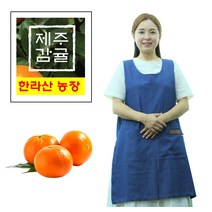 제주 한라산 농장 노지 감귤 10kg 당일수확 밀감