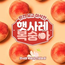 완전 달고 아삭한 햇사레 복숭아, 14내외, 1개