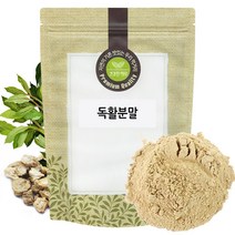 독활 분말 가루 땅두릅 독할 300g 국산 국내산, 단품, 단품