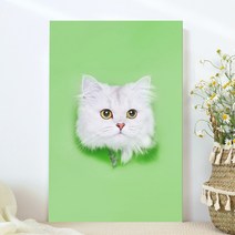 강아지 고양이 애완동물 반려동물 반려견 사진 방꾸미기 인테리어 캔버스 액자, 07페르시안고양이