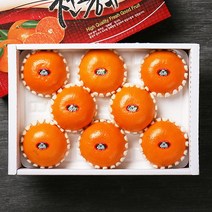 브랜드없음 [빛과나무]자연속 빛가득 제주천혜향세트 3kg(11-15입/특품), 단품없음