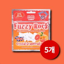퍼지락 자일리톨사탕 자몽맛 무설탕 캔디 40g x 5개