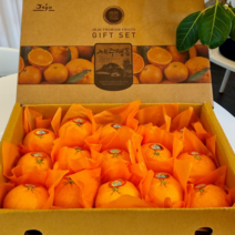 제주 명품 레드향 당도14brix이상!, 3kg(중과/10~16과)