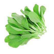 스마트팜 식물재배기 가정용 수경재배기 실내 led 무토재배 일반 수경 영양액 지능형 야채 파종기 발코니 심기 야채 딸기 특수 영양액 13, 1000 깃털 씨앗, 1개