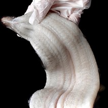 정성백 보양식 프리미엄 자포니카 손질 민물 장어 구이용 1kg, 1kg(손질후600g), 1개