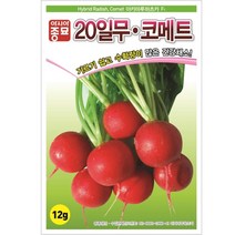 20일 무 씨앗 12g 1300립 코매트 래디쉬 종자 적환무 방울무 빨간무 미니 연중 재배 텃밭 채소 베란다 농사