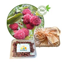 선물 세트 고급 햇 꾸지뽕 열매 3kg 냉동 무농약 친환경 구찌뽕 구지뽕 포장 덕진마을농장, 1개