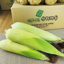 강원도 양구 펀치볼 산채마을 백미 찰 옥수수 10개/20개/30개/50개, (냉동)백미 찰 옥수수 20개